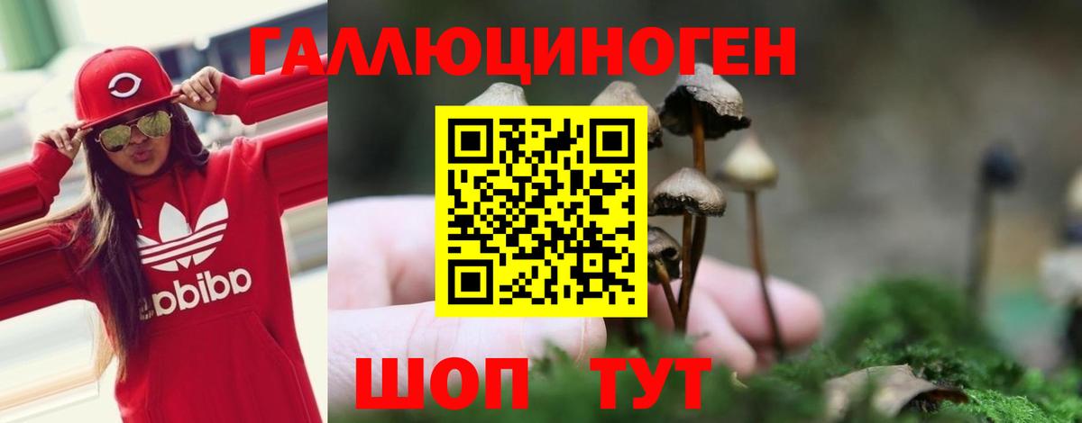 Галлюциногенные грибы Cubensis  Вход с VPN  Ростов-на-Дону  Псилоцибиновые грибы ЛСД 